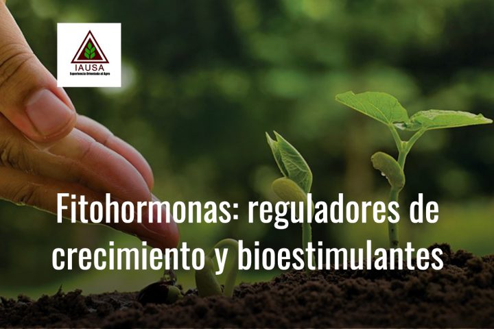 Fitohormonas Reguladores De Crecimiento Y Bioestimulantes Iausa