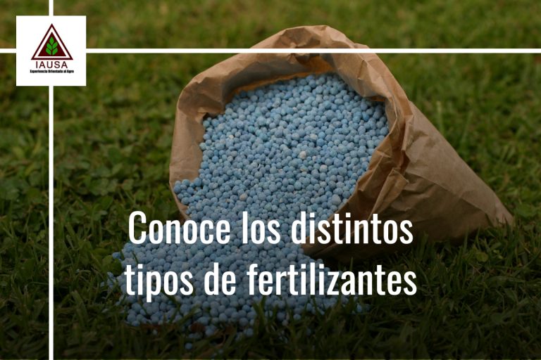 Conoce Los Distintos Tipos De Fertilizantes – IAUSA