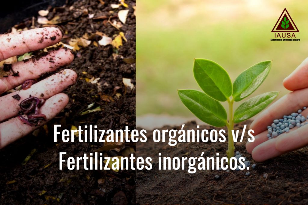 FERTILIZANTES ORGÁNICOS VS FERTILIZANTES INORGÁNICOS – IAUSA