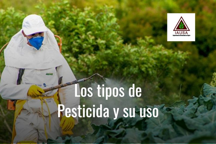 ¿Conoce Los Tipos De Pesticidas Existentes? – IAUSA